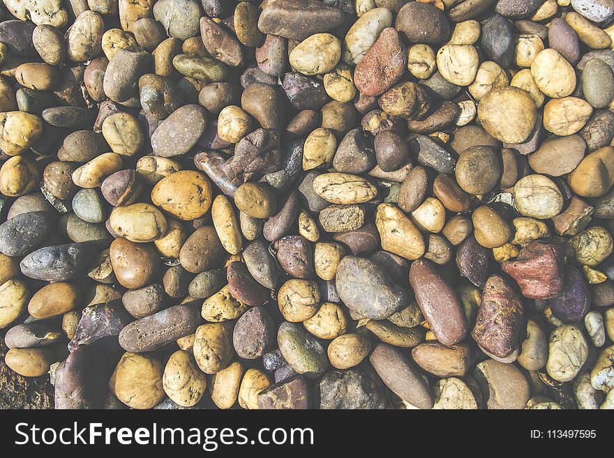 Colorful Stone Texture With Dry Leaf, Soil And Plant