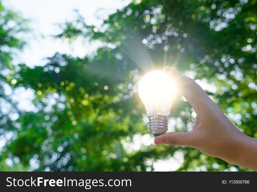 Woman Hands Holding Light Bulb With Solar Energy Or Thermal Energy Concept.