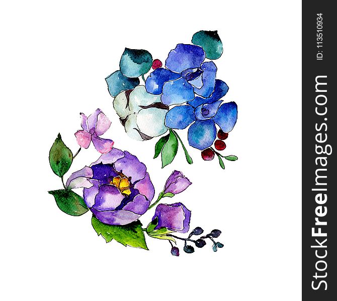 Colorful bouquet. Floral botanical flower. Wild spring leaf wildflower isolated.