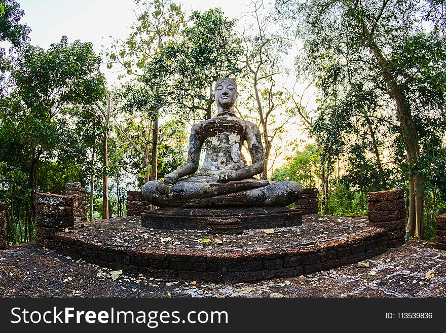 Religious Statue Surrounded by Green Trees