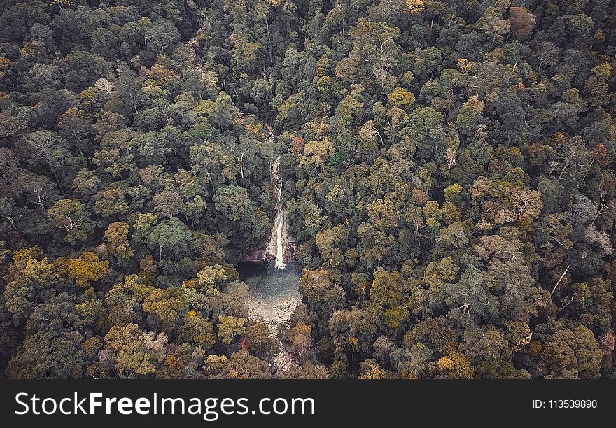 Bird&#x27;s Eye View of Waterfall in Dense Forest