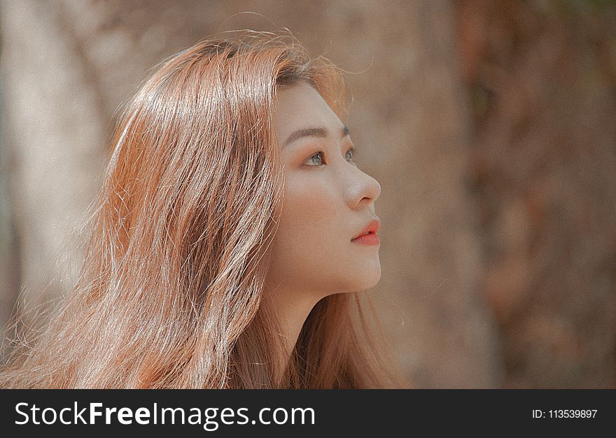 Woman With Brown Hair Looking On Her Left