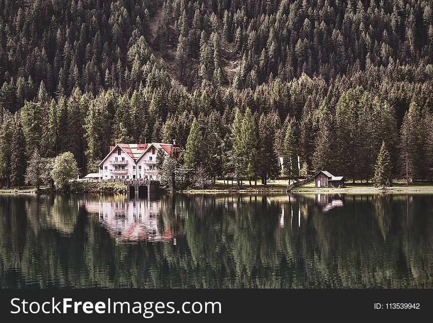 Landscape Photography of Cabin Near Forest