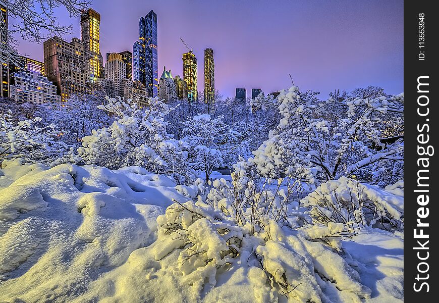 Central Park, New York City at night in winter after snow