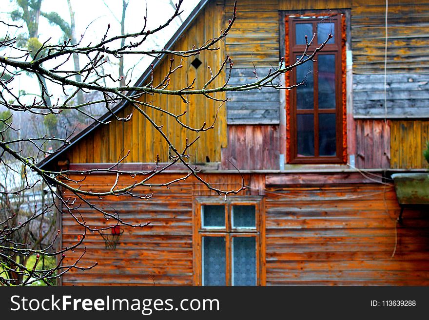 House, Wall, Architecture, Home