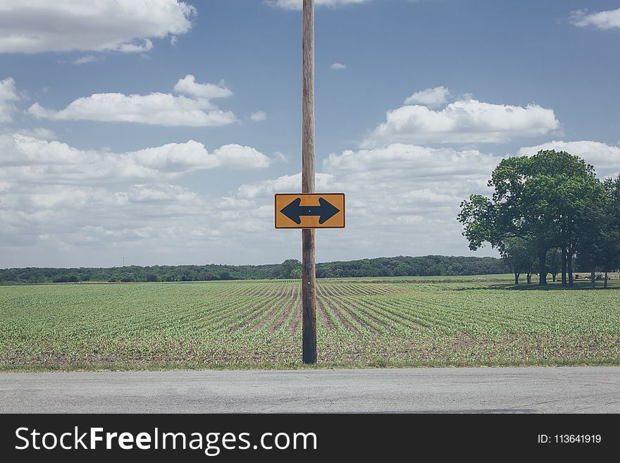 Photo of Yellow Arrow Road Signage