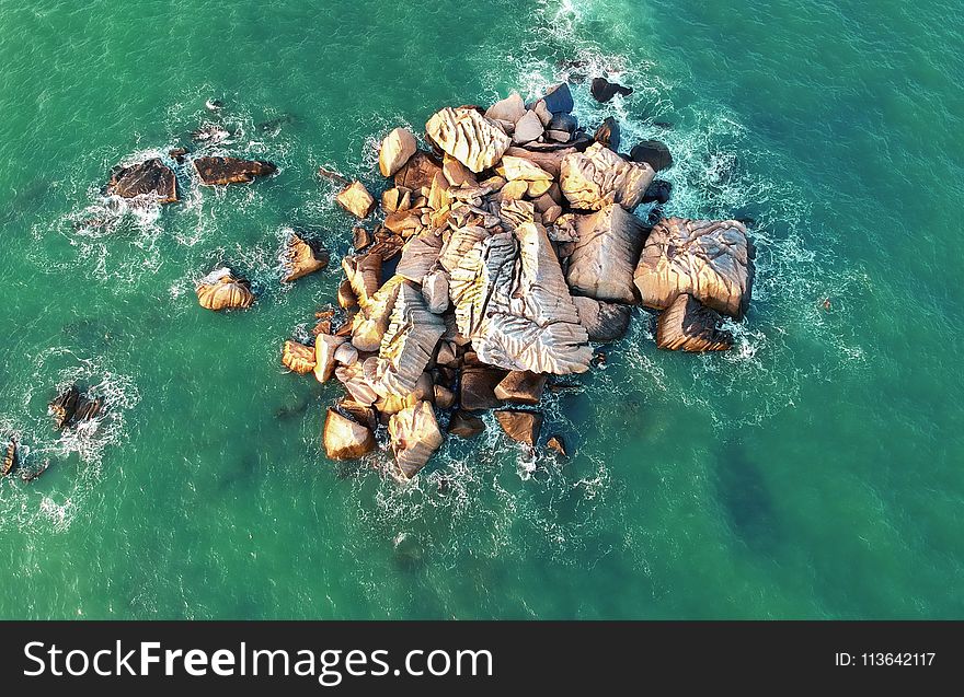 Bird&#x27;s Eye View of the Ocean