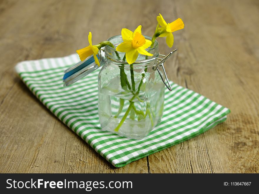 Yellow, Flower, Lemonade, Floristry