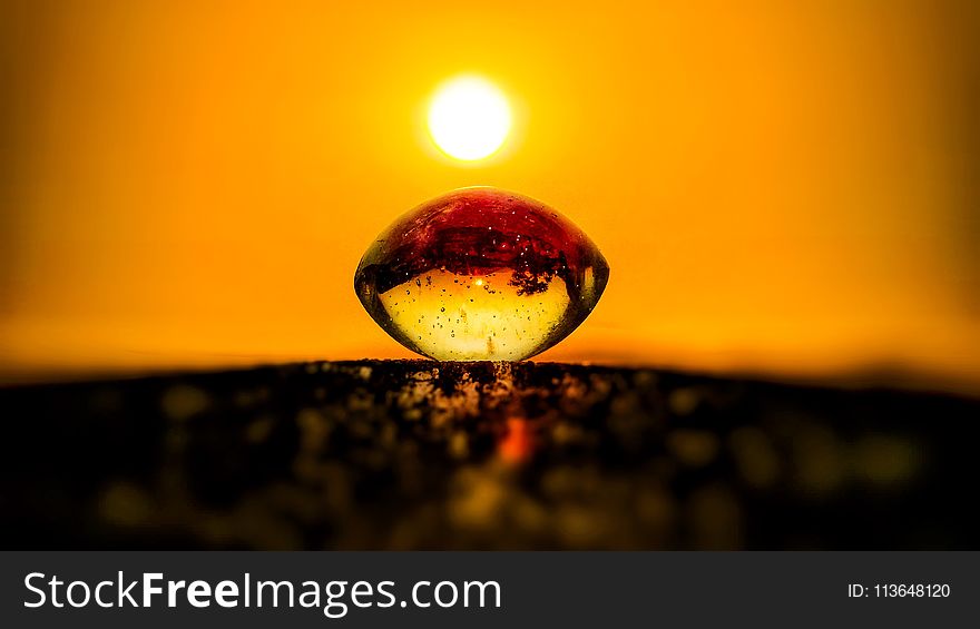 Yellow, Macro Photography, Light, Close Up