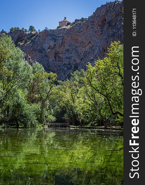 Vegetation, Reflection, Nature, Water