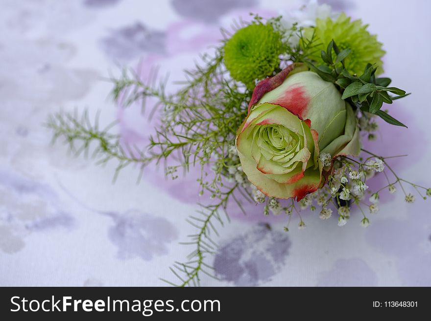 Flower, Flower Arranging, Floristry, Flower Bouquet