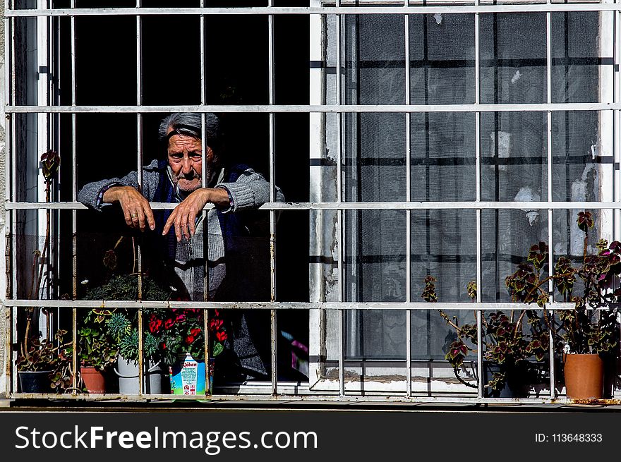 Window, Urban Area, Building, City