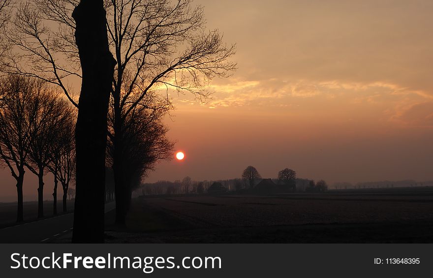 Sky, Sunrise, Dawn, Tree