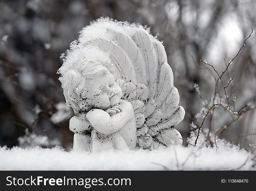 Snow, Freezing, Winter, Frost