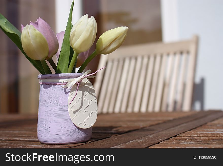 Flower, Vase, Flowerpot, Plant