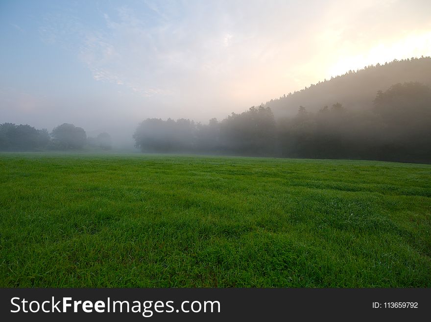 Grassland, Field, Sky, Pasture