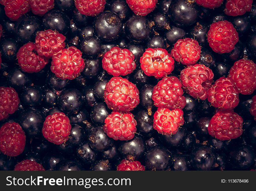 Mixed berries summer background with ripe delicious raspberry and black currant