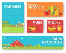 Farm Information Cards Set. Nature Template Of Flyear, Magazines, Posters, Book Cover, Banners. Eco Infographic Concept Stock Images