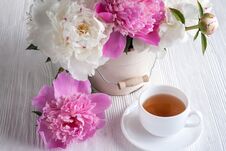 Still Life With Peonies Royalty Free Stock Photography