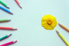 Large Bright Daisy Surrounded By Colored Pencils. Concept-education, Drawing, Creativity. Stock Photo