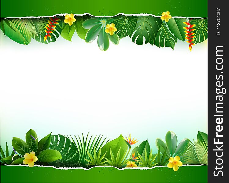 Green tea leaves vector nature background. Green tea background with leaf natural illustration.