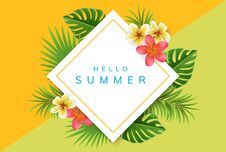 Geometric Summer Frame With Palm Leaf And Flower Royalty Free Stock Images
