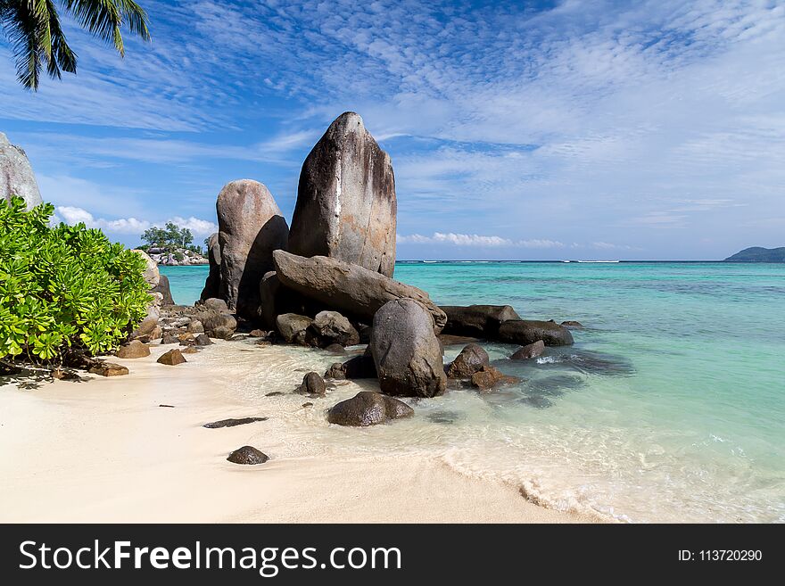 Big stones on the beach with a lot of green plants