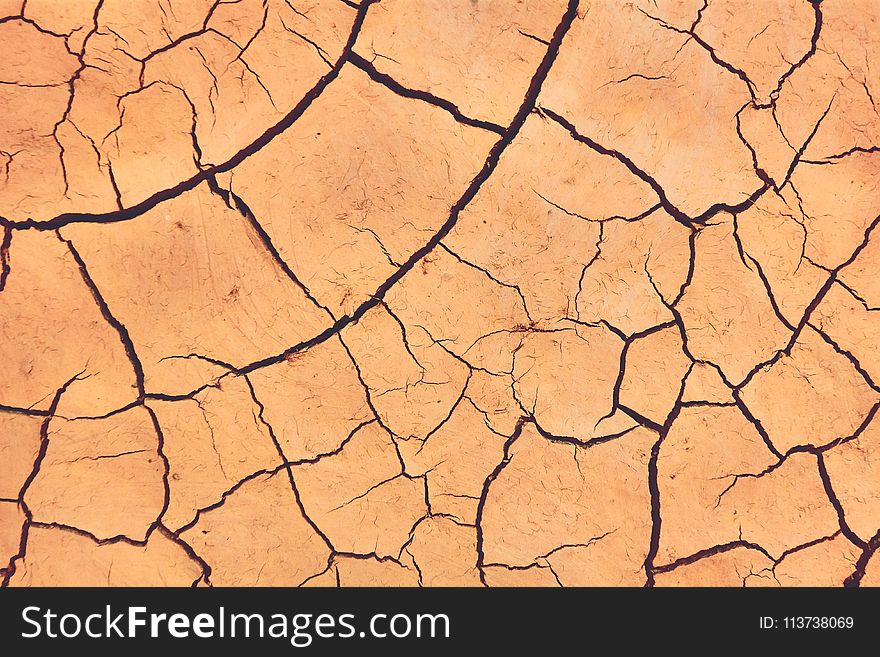 Drought, Soil, Pattern, Texture