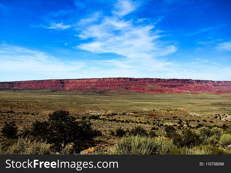 Sky, Ecosystem, Grassland, Plain