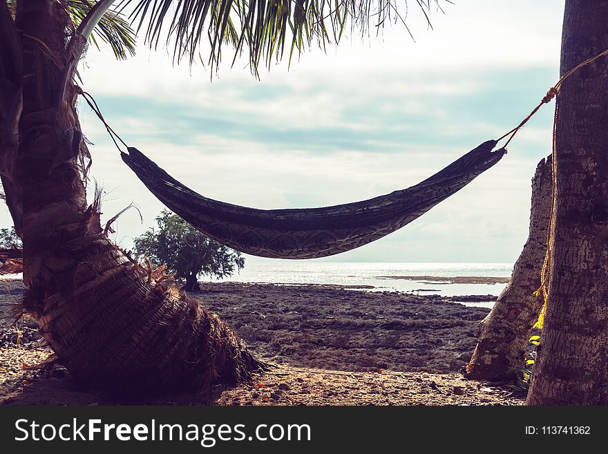 Hammock between palm trees.