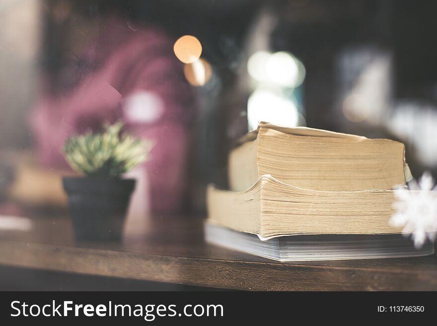 Cactus flower with book on wood table modern interior background concept.