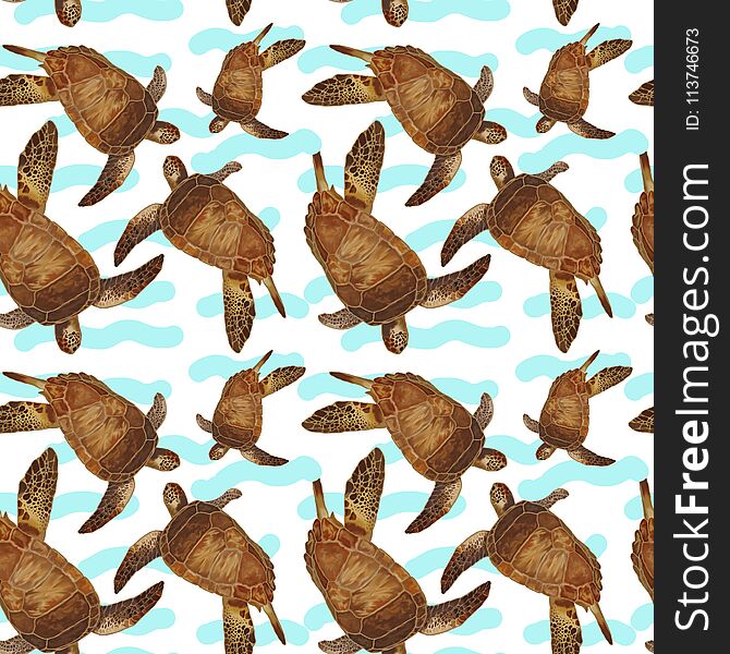 Pattern With Turtles On A White-blue Background.