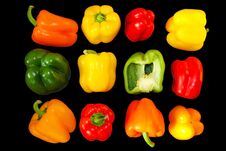 Multipul Color Rainbow Peppers Or Chili Stock Photography