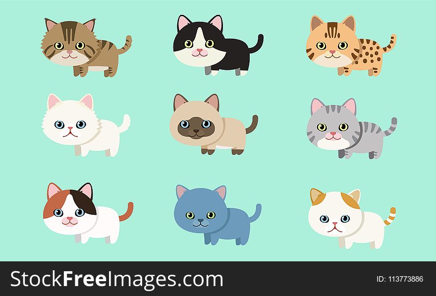 Cute pet cat breed collection flat style