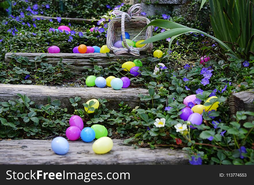 Brightly colored eggs scattered all over the wooden stairs in the garden surrounded by ground cover with purple and white flowers. Brightly colored eggs scattered all over the wooden stairs in the garden surrounded by ground cover with purple and white flowers