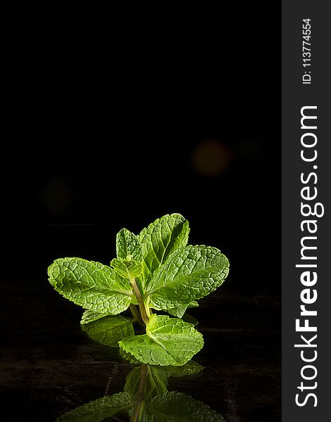 A branch of fresh mint on a black reflective background