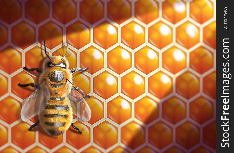 Digital illustration of bee inside a beehive with light shining in. Digital illustration of bee inside a beehive with light shining in