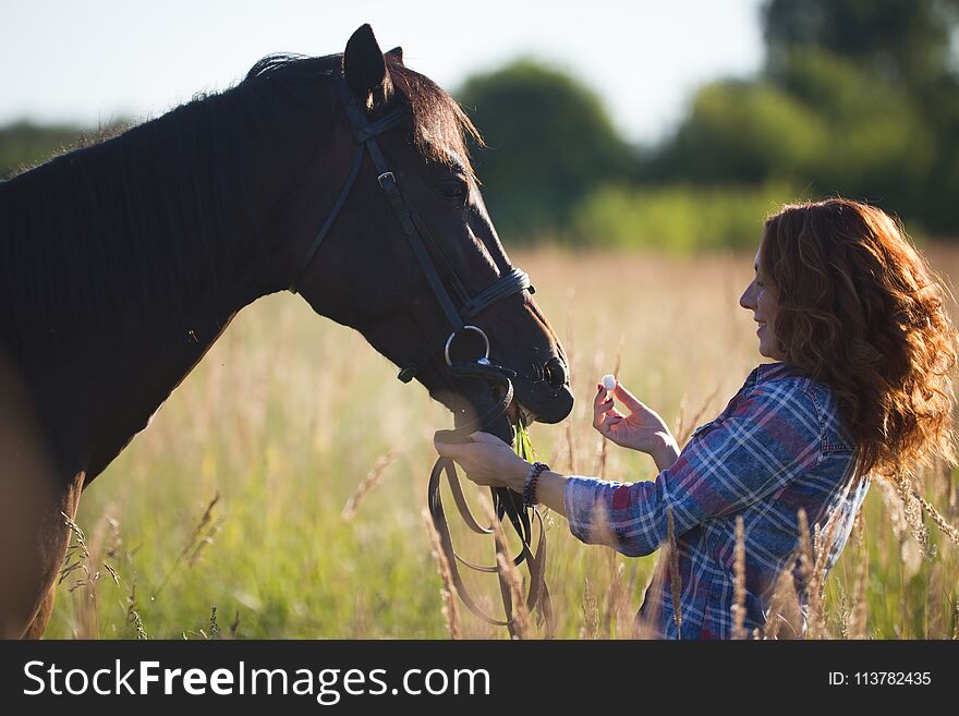 Portrait of a red hair woman and horse in the meadow at sunny summer