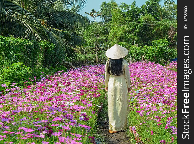 A Vietnamese woman in traditional dress Ao Dai standing at flower garden. A Vietnamese woman in traditional dress Ao Dai standing at flower garden.