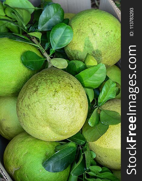 Green grapefruit at market in Mekong Delta, Southern Vietnam.