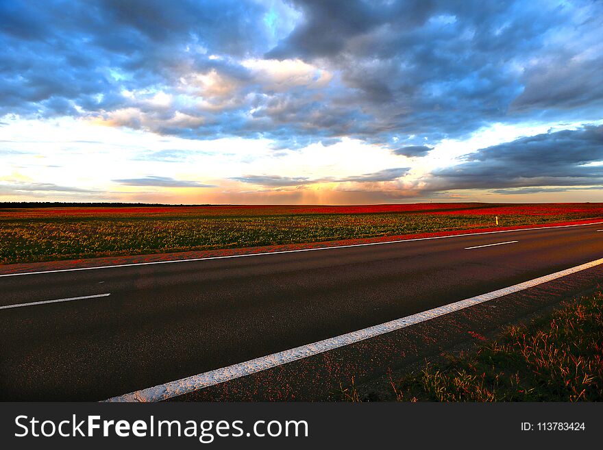 Outgoing road at sunset.Landscape from the outgoing road, fields and sky. Outgoing road at sunset.Landscape from the outgoing road, fields and sky