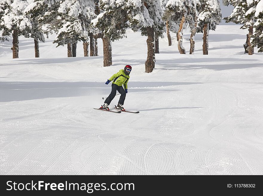 Skiing on a beautiful snow forest landscape. Winter sport. Horizontal