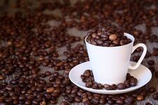 Coffee Concept: Fried Coffee Beans In Porcelain White Coffee Cup Royalty Free Stock Photo