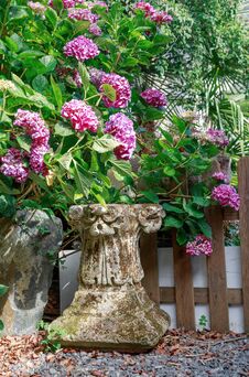 Free Purple Flowers Growing Along Fence In Garden Stock Photography - 113807402