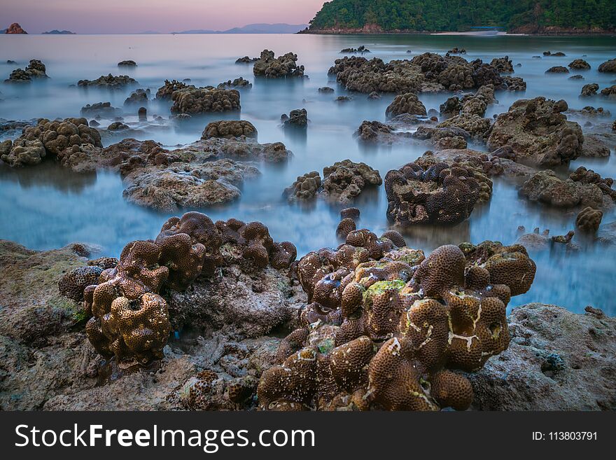 Coral Rock Around Beach During Ebb Tide And Sunset Time Wide Shot Background