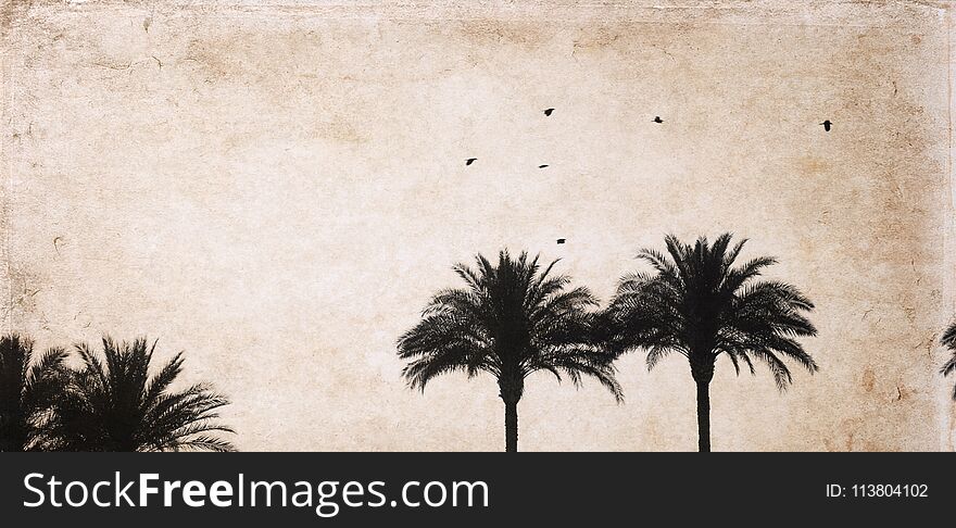 Artwork in retro style, flying birds, palms