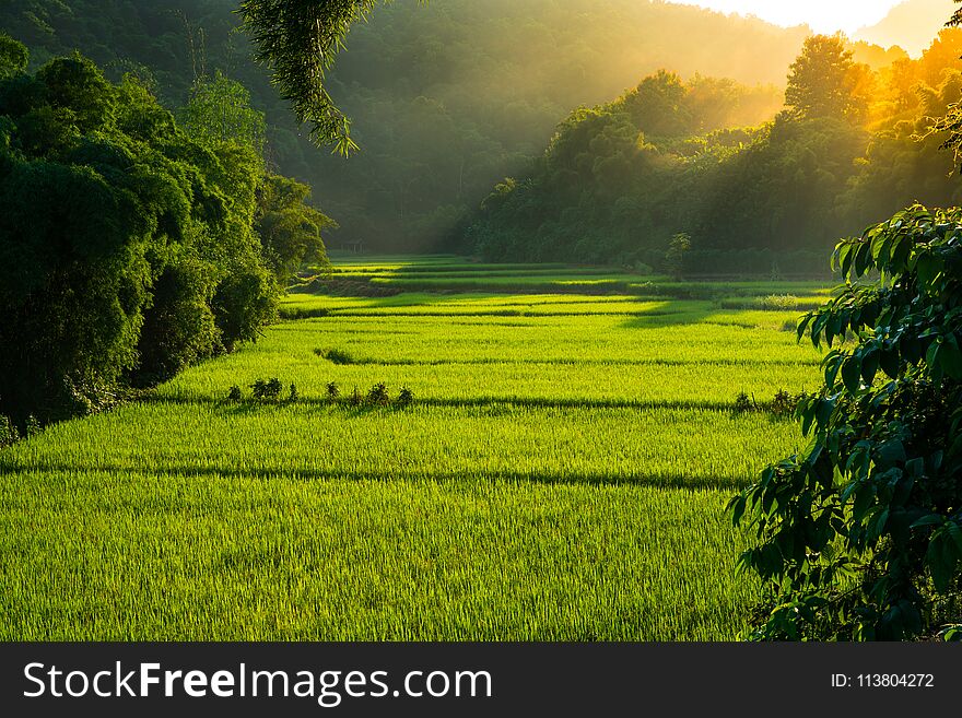Sunlight shine behind Mountain valley and fog during natural winter landscape in Nan, Thailand