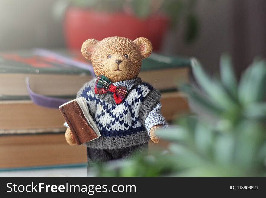 Cute Happy Teddy Bear with brown book Ceramic Models, knit jumper. Cute Happy Teddy Bear with brown book Ceramic Models, knit jumper.