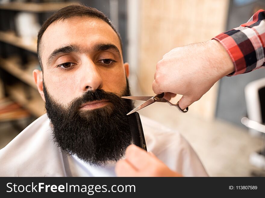 Bearded men sitting in the barbershop, a beard must be perfect. Bearded men sitting in the barbershop, a beard must be perfect