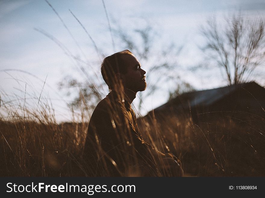 Silhouette of Man Sitting on Grass Field at Daytime
